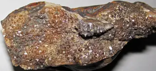 Quartz crystal-lined cavity in flint (Vanport Flint, Middle Pennsylvanian; Nethers Flint Quarries, Flint Ridge, Ohio, USA) 4 (25761853378).jpg