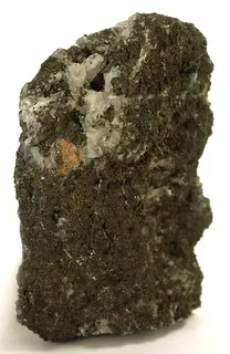 Colusite-sea56a.jpg