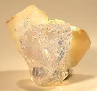 Opal-41395.jpg