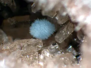 Jeremjevite blue acicular ball - Ochtendung, Eifel, Germany.jpg