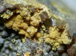 Kasolite-105787.jpg