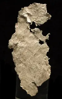 Silver-230538.jpg