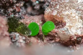 Cornubite Tomeik.jpg
