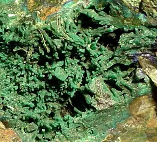 Cornwallite-205919.jpg