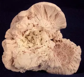 Kutnohorite-118681.jpg