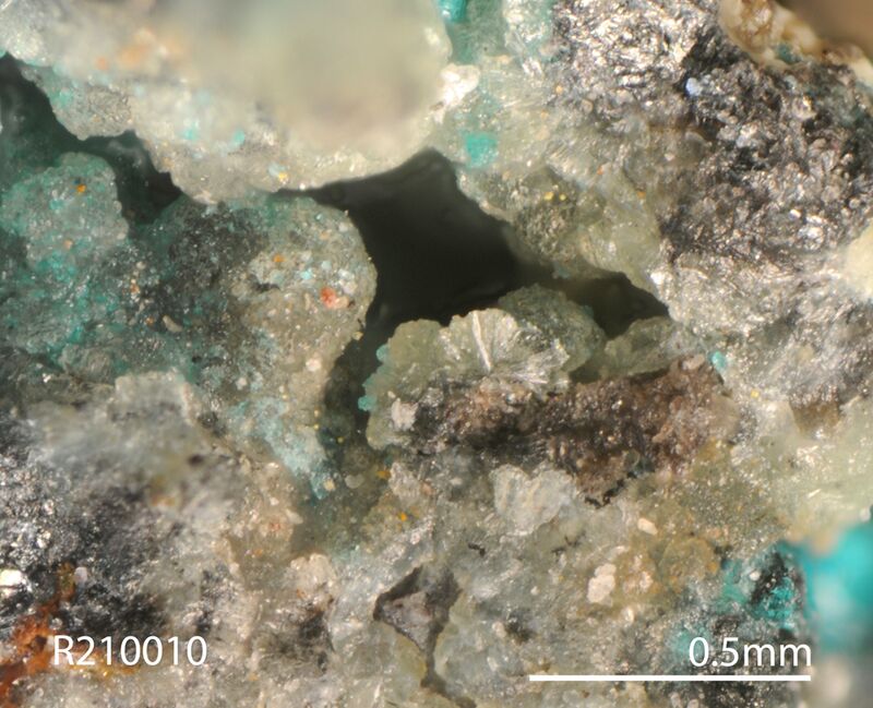 Bernardevansite