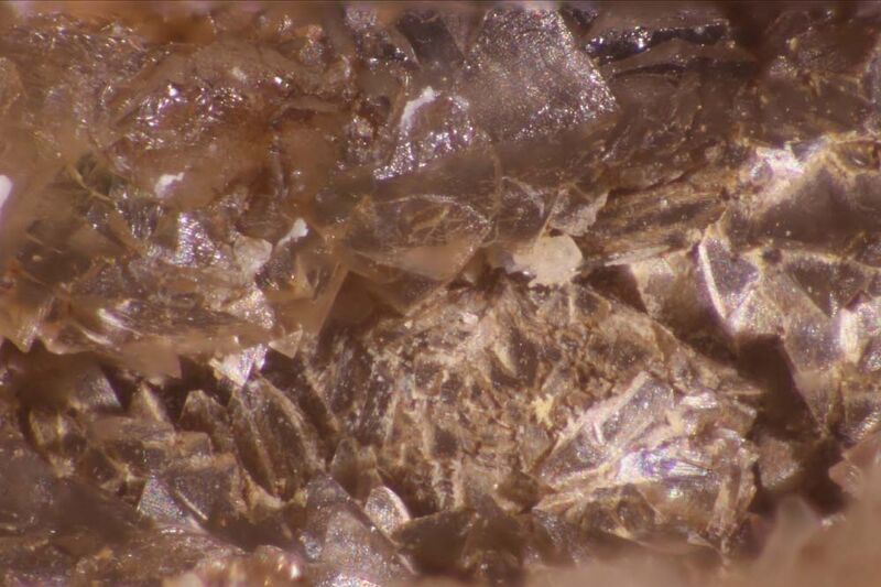Correianevesite