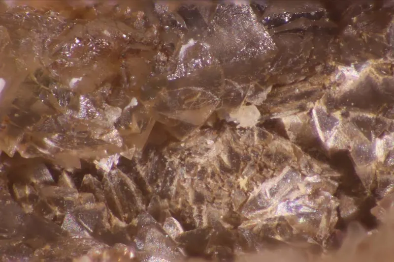 Correianevesite.jpg