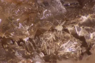 Correianevesite.jpg