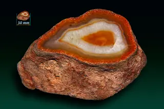 Agat Lake Superior (Lake superior agate) - Minnesota, USA.jpg