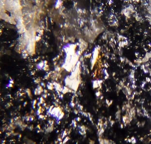 Costibite