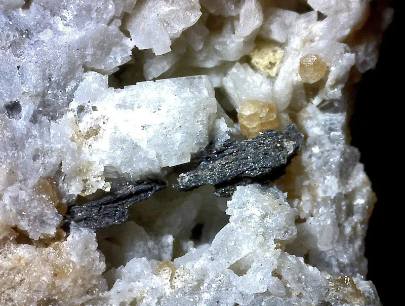 Cotunnite, Xilingolite, Albite, Grossular-951378.jpg