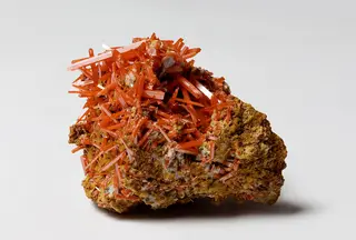 Crocoite from the Dundas extended mine, Dundas, Tasmania, Australia.jpg
