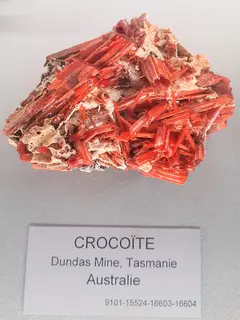 Crocoite, Musee de Mineralogie, Paris, 2025, 2.jpg