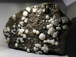 Opal-CT Lussat MNHN Minéralogie.jpg