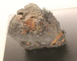 Muséum de Nantes - 589 - Magnétite (Suède).jpg
