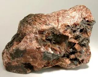 Diaspore-261487.jpg
