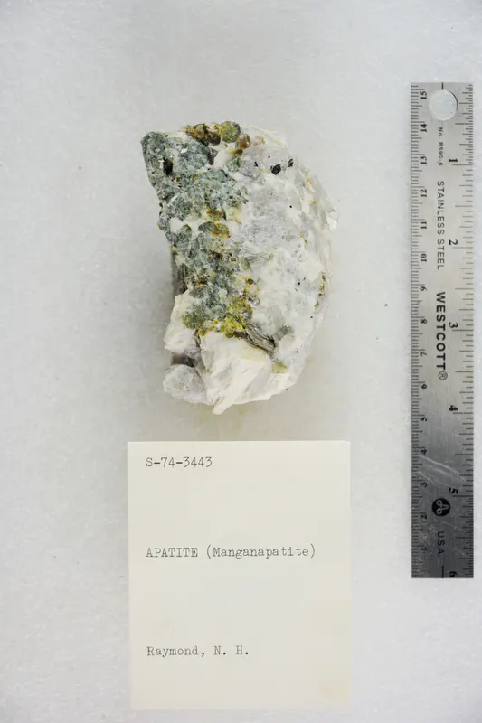 Apatite (Manganapatite (48293864891).jpg