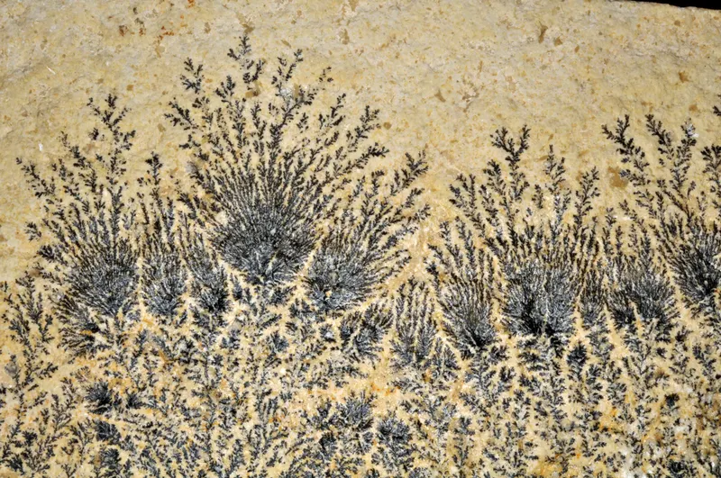 Manganese dendrites.jpg