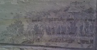 Pseudofossil dendrites of manganese in limestone.jpg