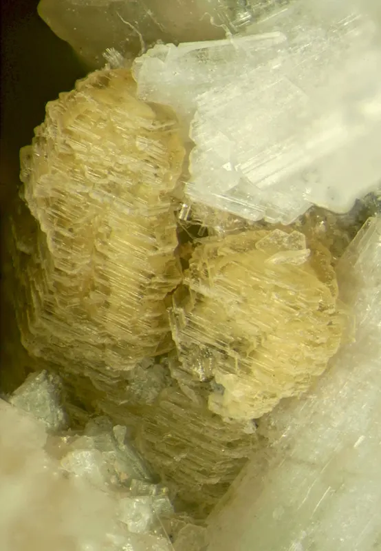 Alicewilsonite-(YCe)-1181431.png