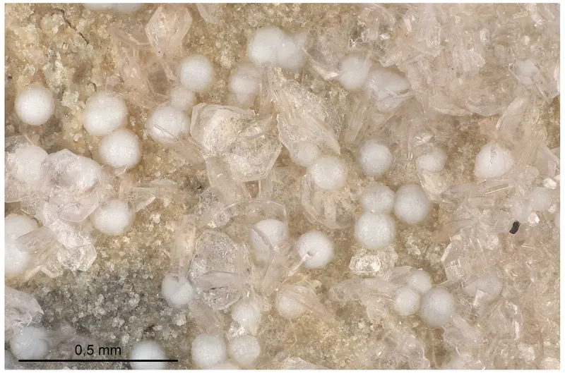 Alicewilsonite-(YLa).jpg
