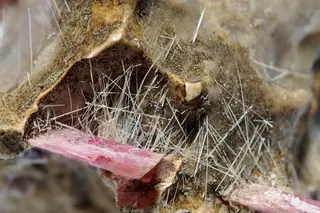 Cummingtonite, rhodonite.jpg