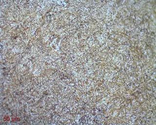 Martensite, Braude College Karmiel Israel, 2007 Kogan.jpg