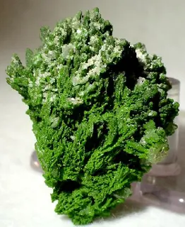 Mottramite-20548.jpg