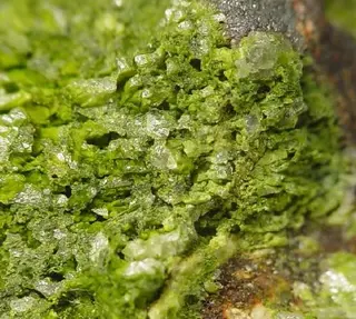 Cuprotungstite-240580.jpg