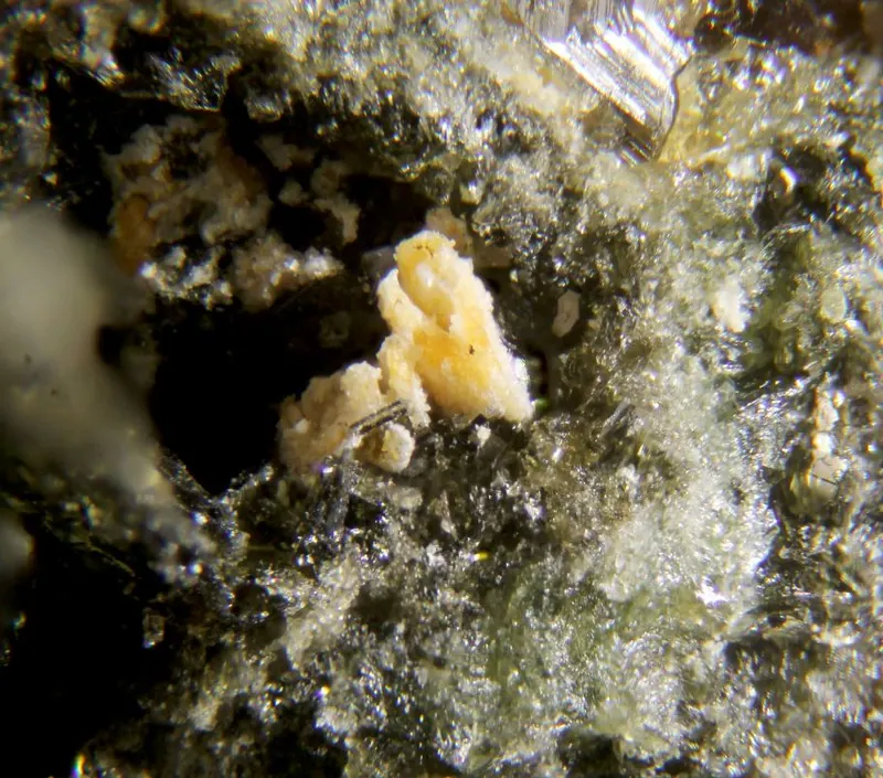 Cuspidine.jpg