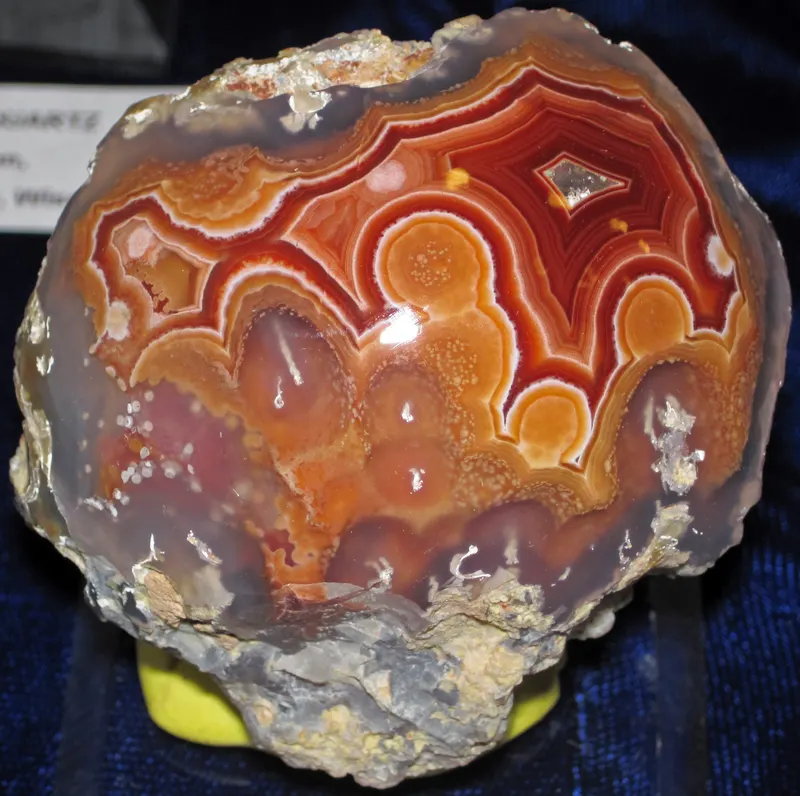 Mexican Lace Agate (Chihuahua, Mexico) (33749223413).jpg