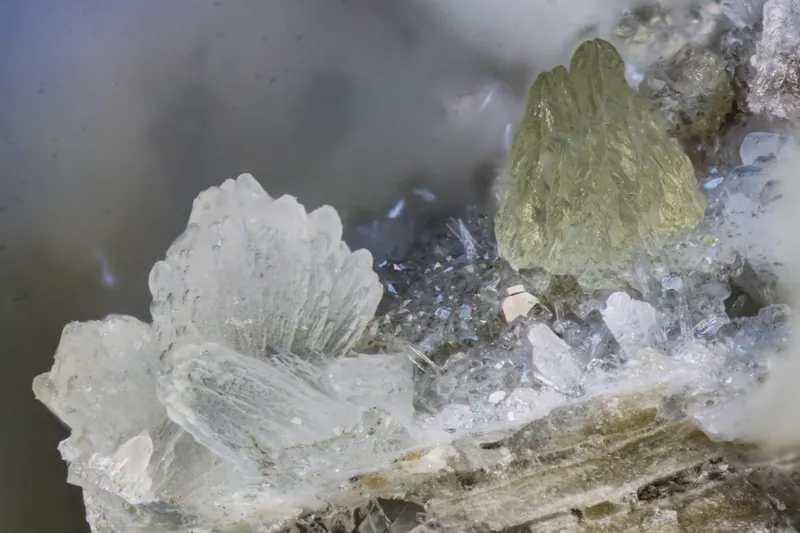 Dachiarditebna12340-1.jpg