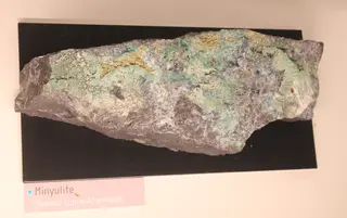 Muséum de Nantes - 603 - Minyulite (Pannecé, Loire-Atlantique, France).jpg