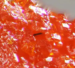 Dalnegroite-2.jpg