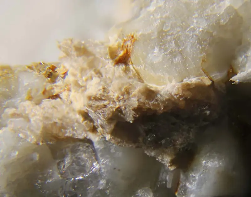 Dalyite and janhaugite.jpg