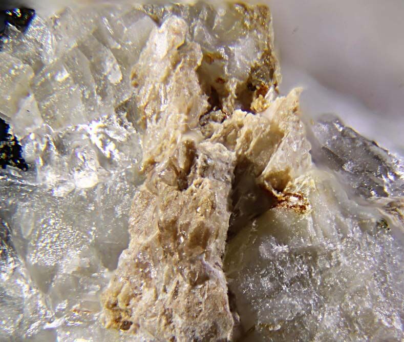 Dalyite