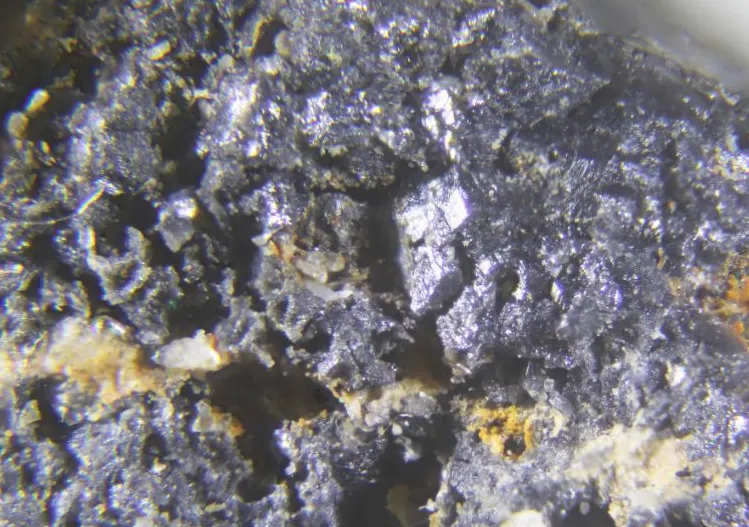 Danielsite.jpg
