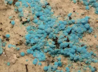 Decrespignyite-(Y)-89905.jpg