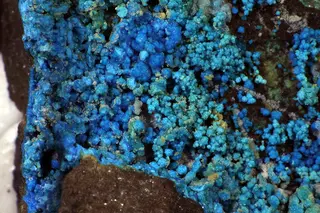 Decrespignyite-(Y) and minor Kamphaugite-(Y).jpg