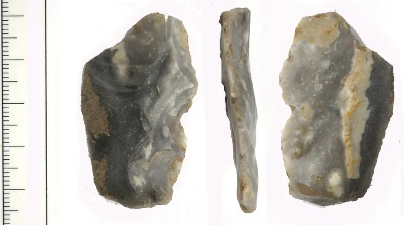 DUR-0EF205 (FindID 420203).jpg