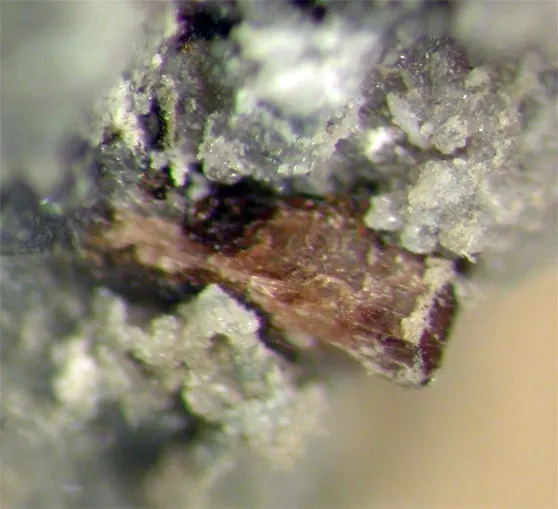 Delindeite-107200.jpg