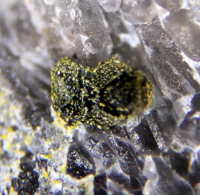 Dellagiustaite.jpg