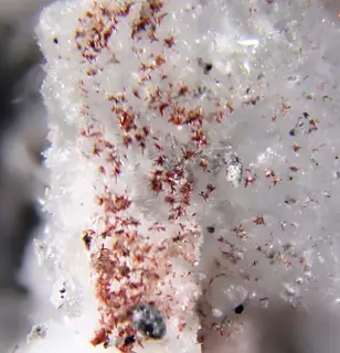 Demicheleite-(Cl) on godovikovite.jpg