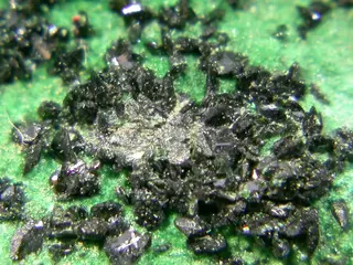 Derriksite-Malachite-201074.jpg