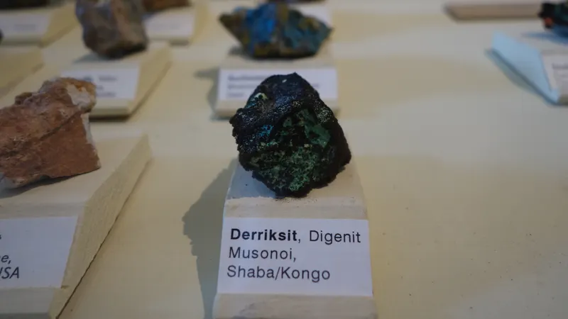 Derriksite Naturkundemuseum Berlin.jpg