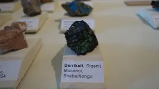 Derriksite Naturkundemuseum Berlin.jpg