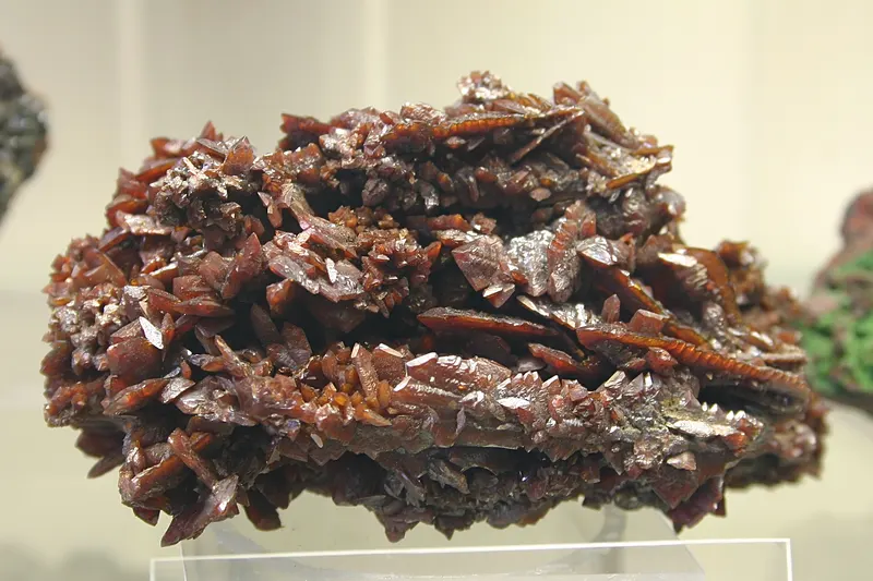 Descloizit - Mineralogisches Museum Bonn (7288).jpg