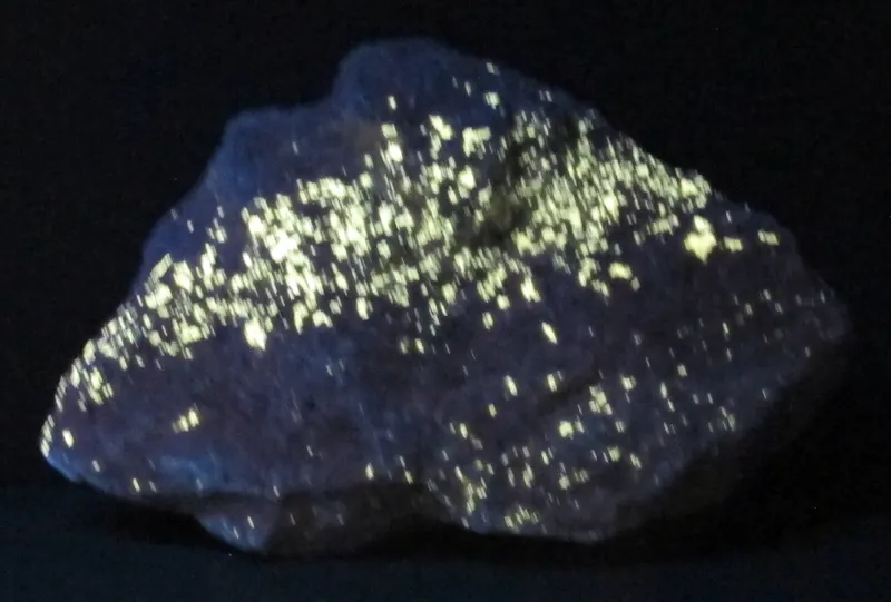 Museo di mineralogia, pietre fluorescenti, norbergite.JPG