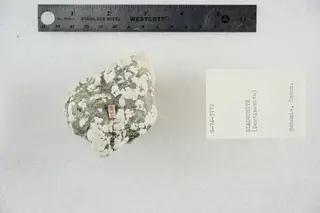 Didochite (Destinezite) (48140039281).jpg